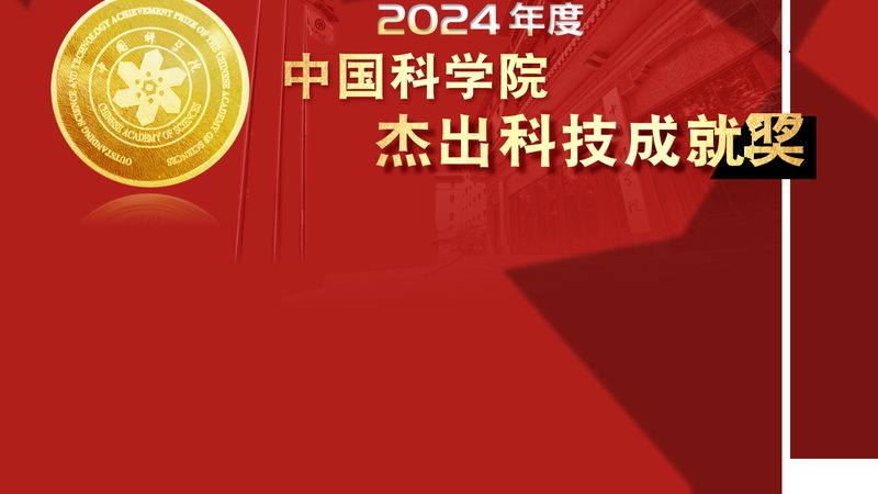 电商系统开发：揭秘高效解决方案的关键要素